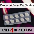 Dragon À Base De Plantes 08